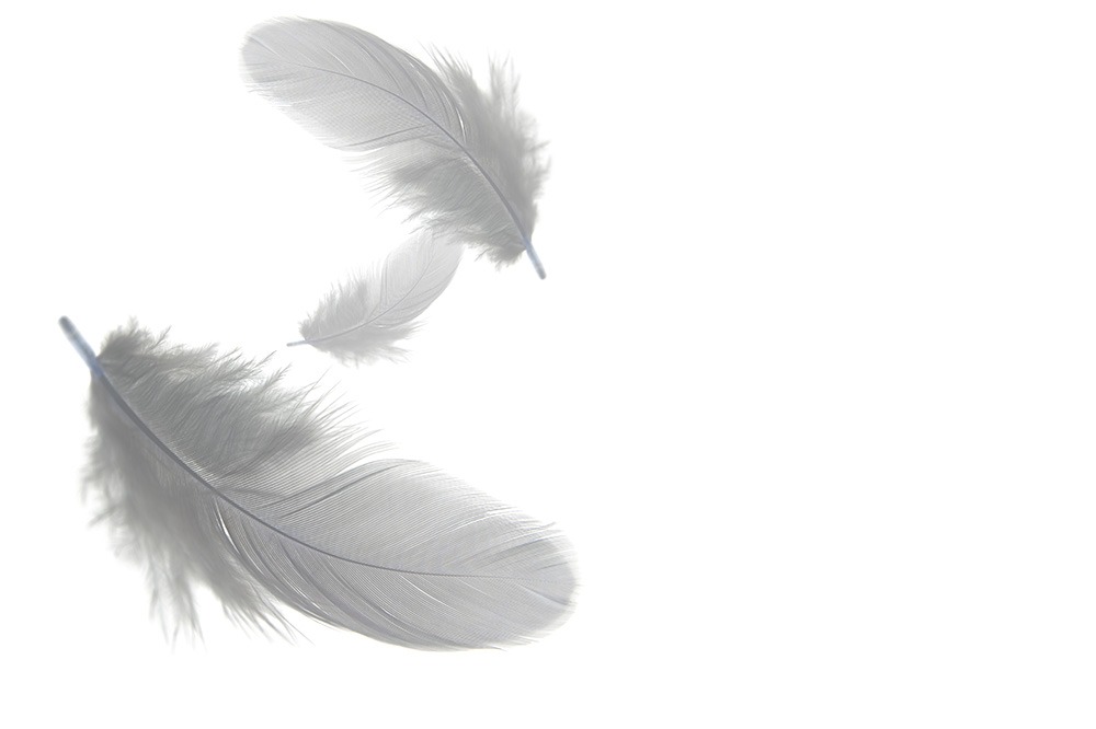 Feathers