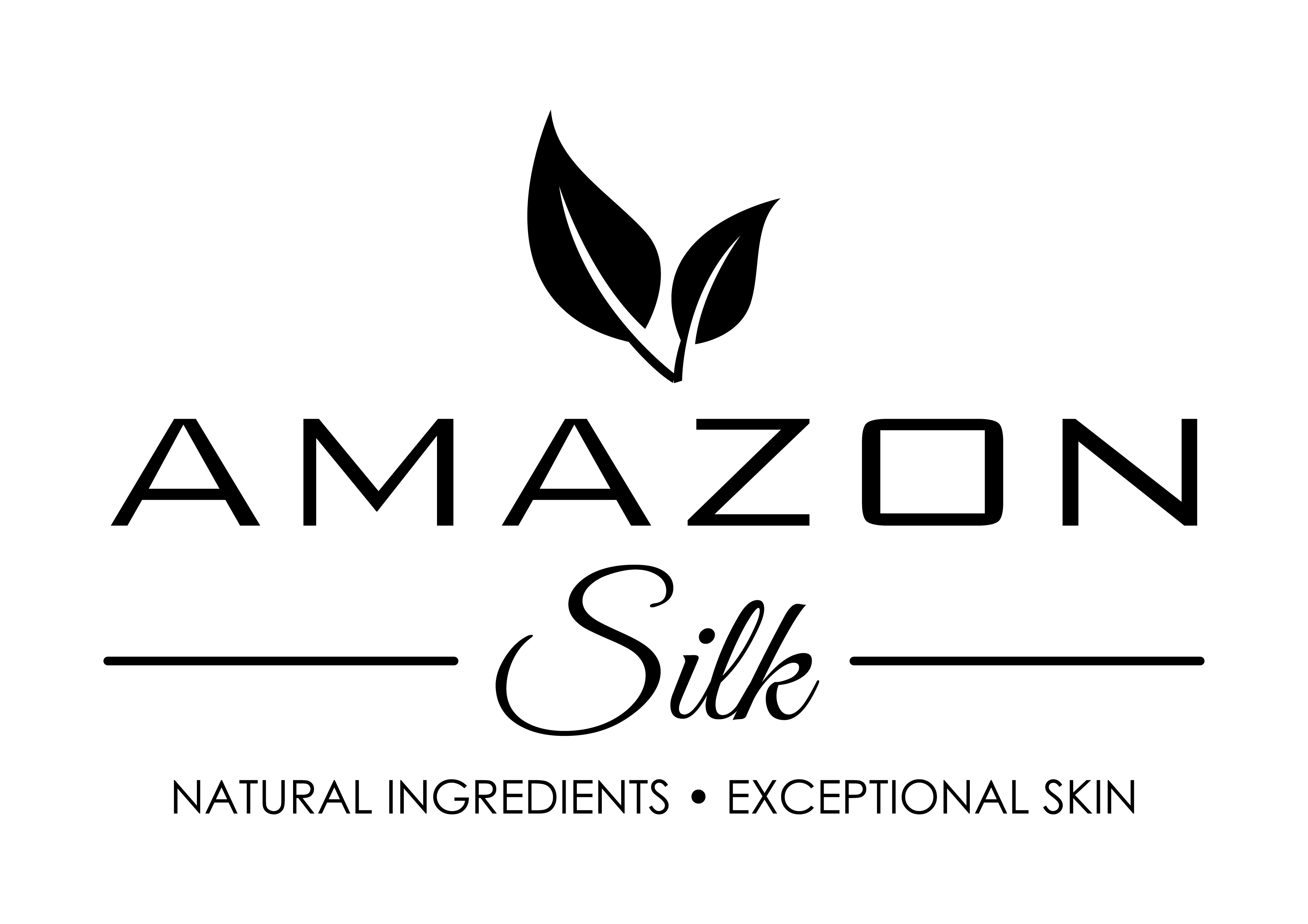 Amazon Silk Logo